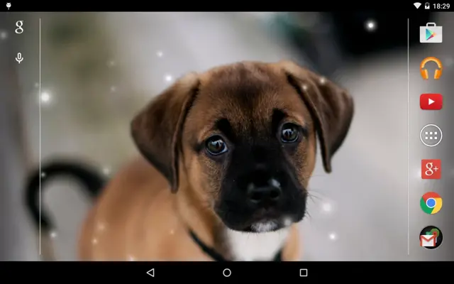 Puppies android App screenshot 0