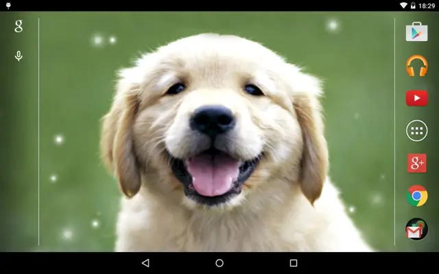 Puppies android App screenshot 2