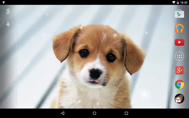 Puppies android App screenshot 3